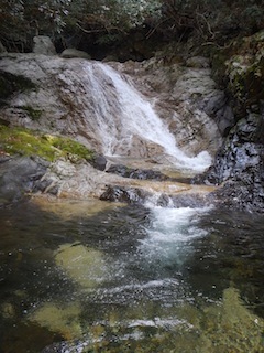 c0359615_16352936.jpg