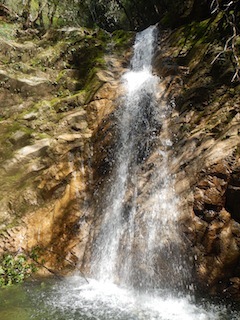 c0359615_16354274.jpg