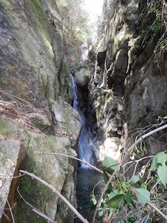 c0359615_16360053.jpg