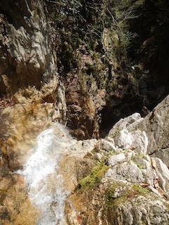 c0359615_16371055.jpg