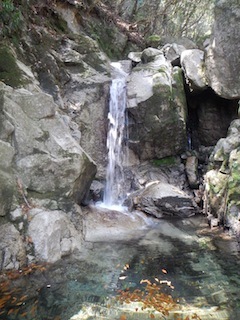 c0359615_16372123.jpg