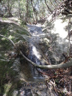c0359615_16380736.jpg