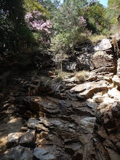 c0359615_16400928.jpg