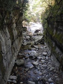 c0359615_16412165.jpg