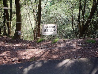 c0359615_16413385.jpg