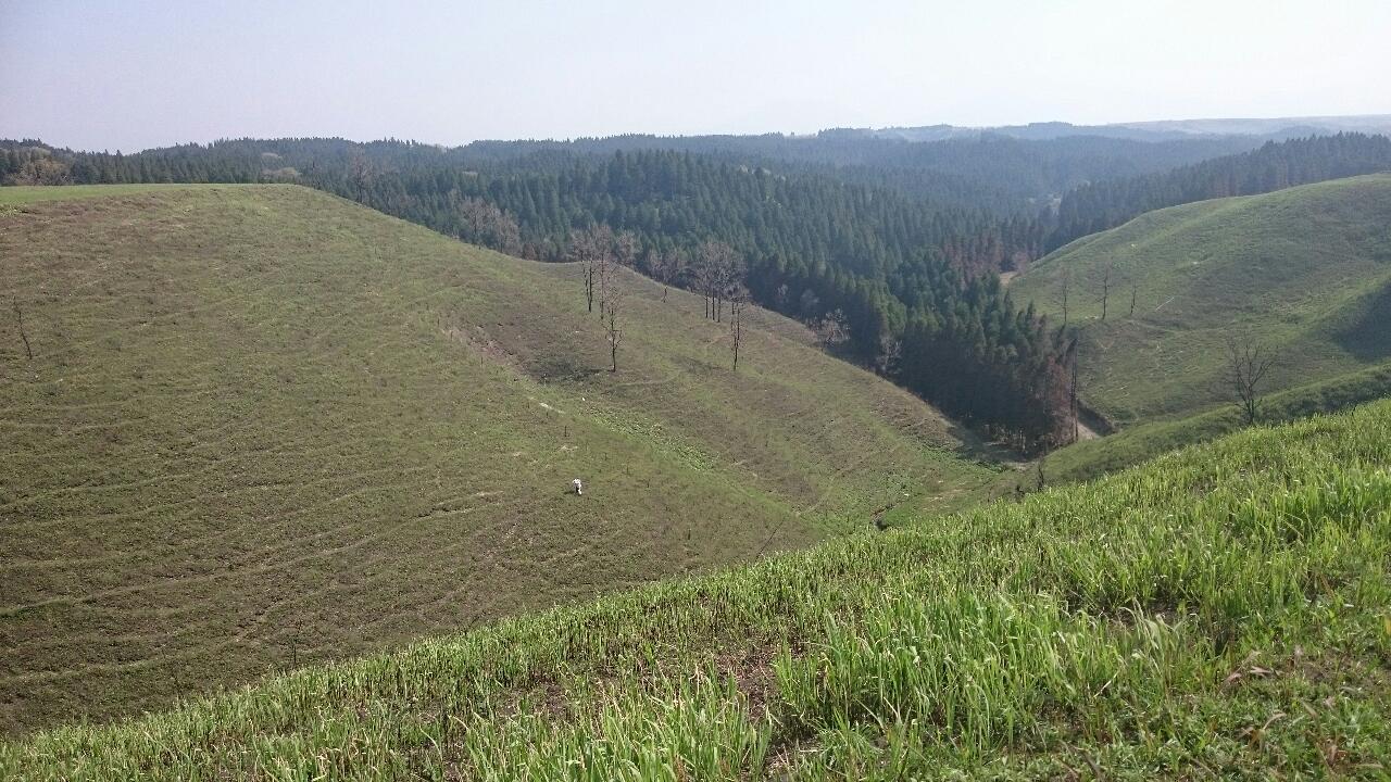 e0350415_08114826.jpg