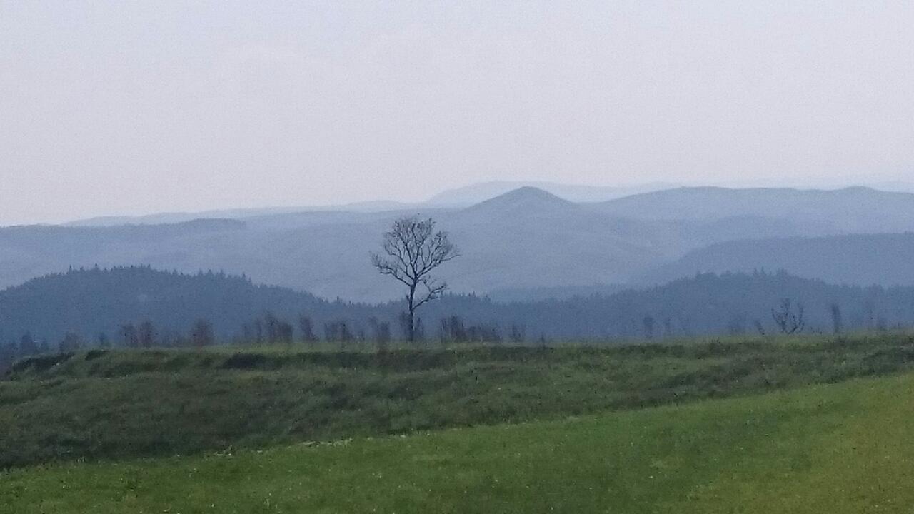 e0350415_08123977.jpg