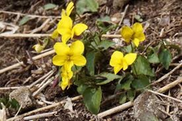 e0350415_23171619.jpg