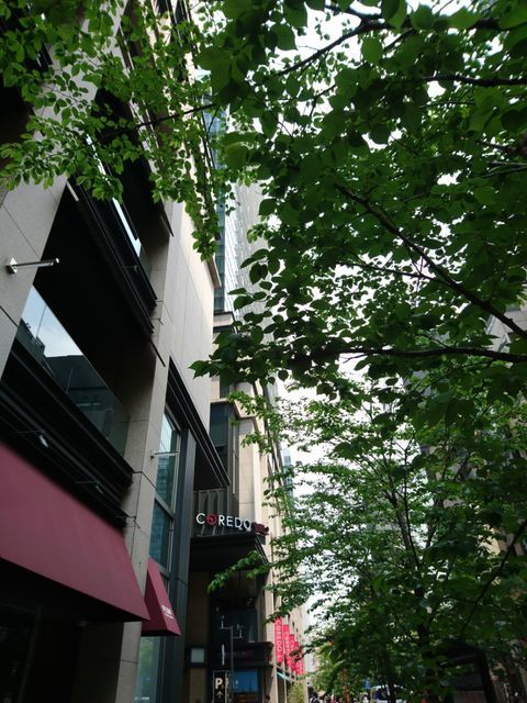 c0317717_21063290.jpg
