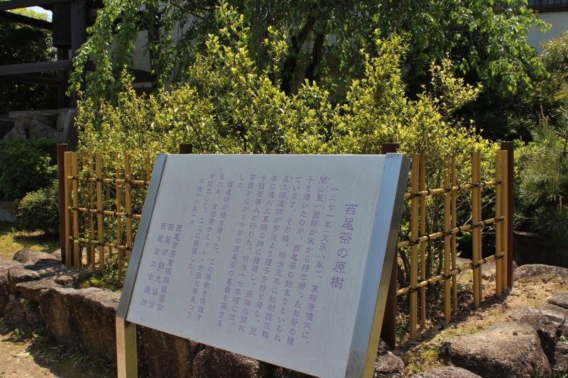 b0220318_10293938.jpg