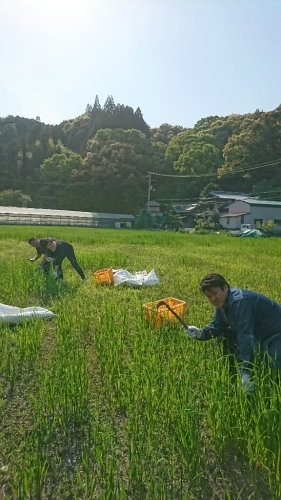 b0187620_20581485.jpg