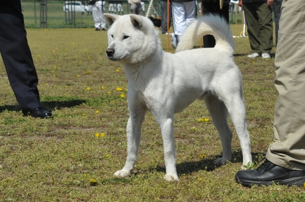 f0143123_16071041.jpg
