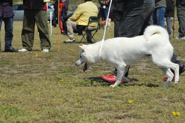 f0143123_16293191.jpg