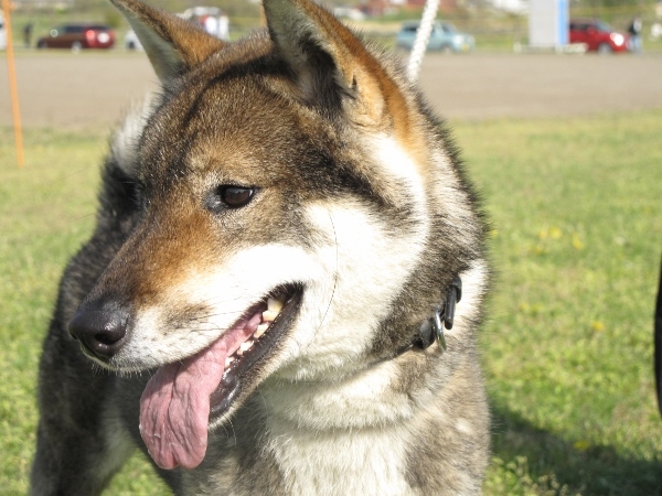 f0143123_17580243.jpg