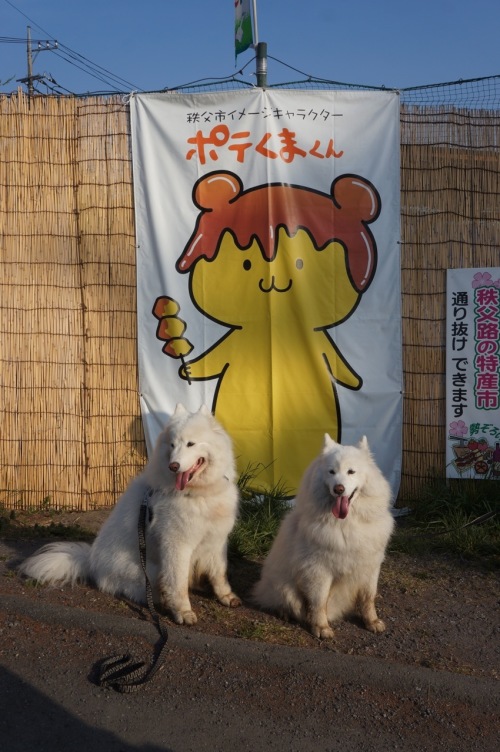 f0234023_09535244.jpg