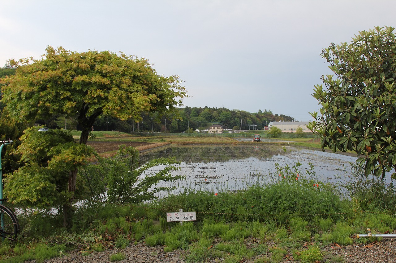 f0225627_21241874.jpg