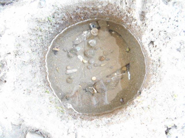 b0351835_17303029.jpg