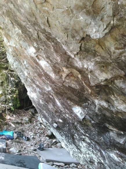 d0288435_22393851.jpg