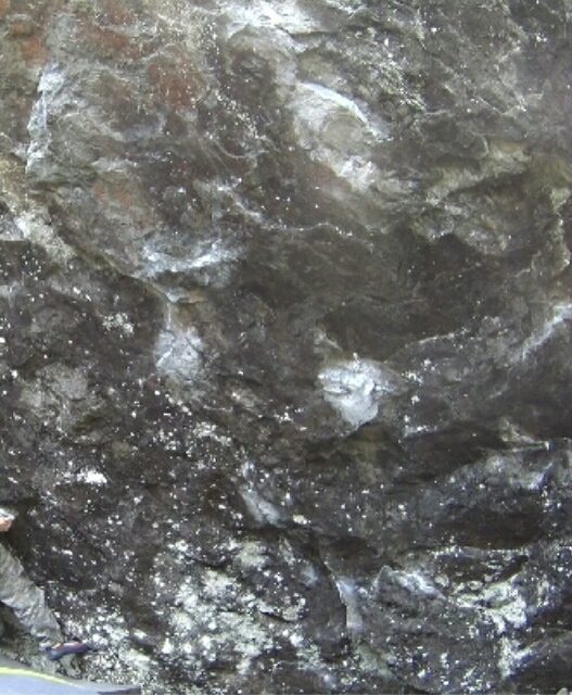 d0288435_22402076.jpg