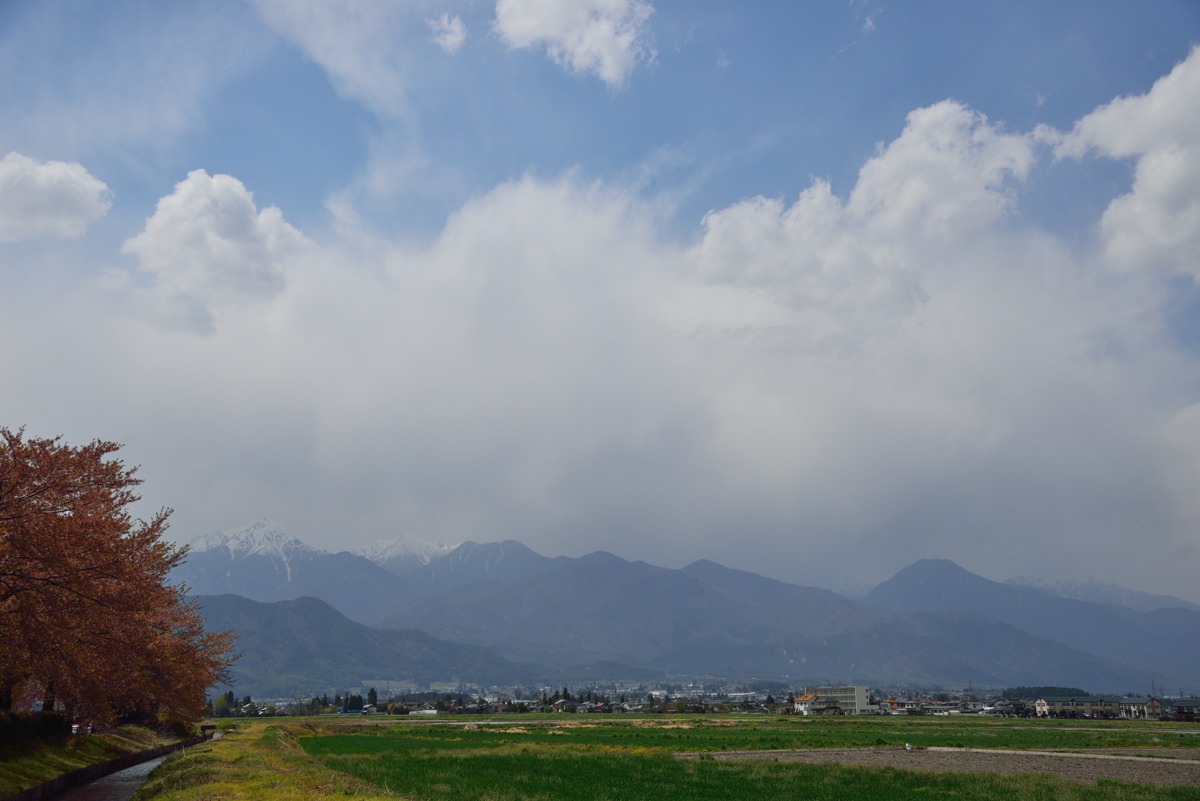 b0096536_171287.jpg