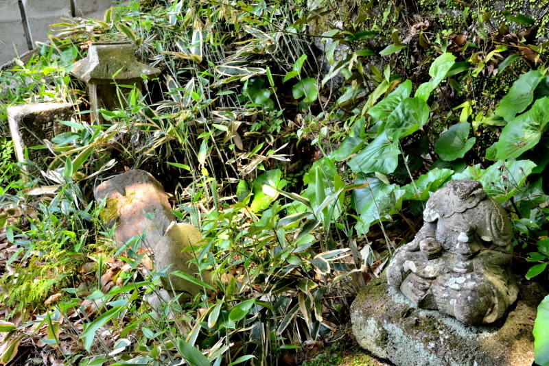 e0056537_15060517.jpg