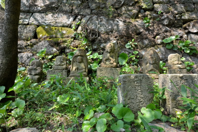 e0056537_15100395.jpg