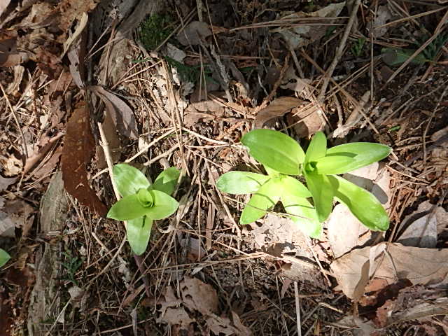 f0334143_9325047.jpg