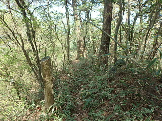 f0334143_9371713.jpg