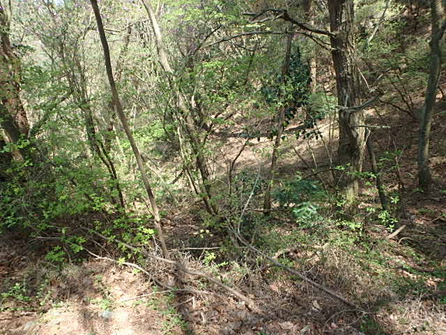f0334143_9381780.jpg