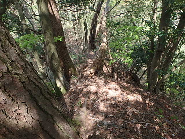 f0334143_9382476.jpg