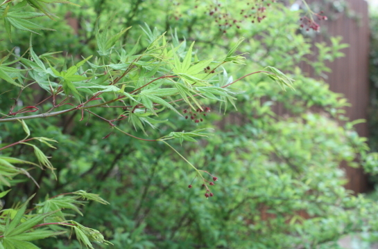 f0216148_14324569.jpg