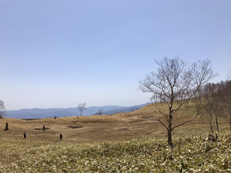 e0329049_22061790.jpg