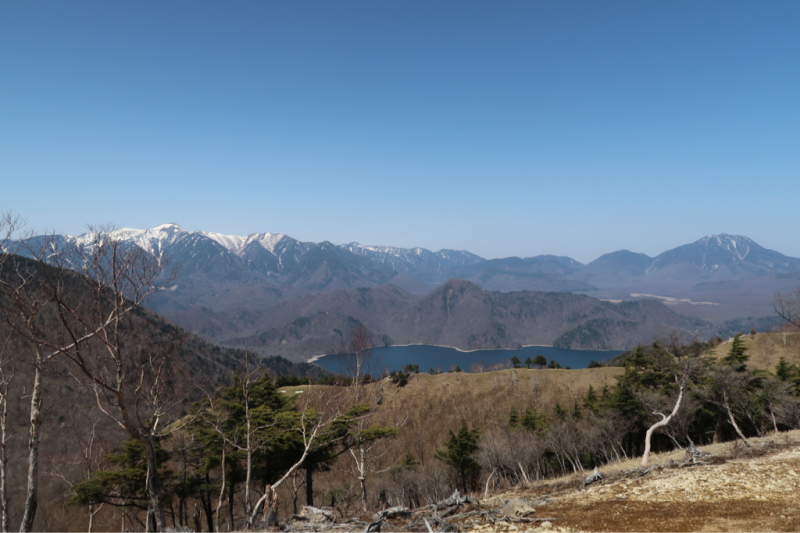 e0329049_22351300.jpg