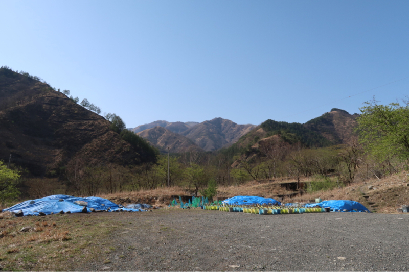 e0329049_22473178.jpg
