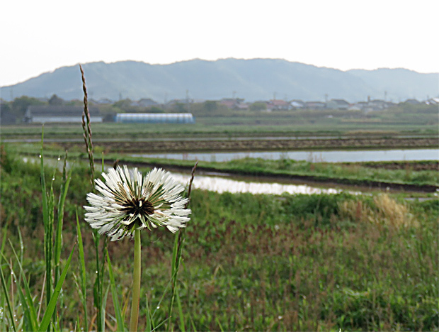 f0214649_04152316.jpg