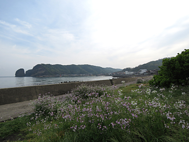 f0214649_04221738.jpg