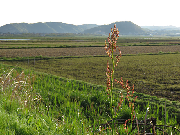 f0214649_04325091.jpg
