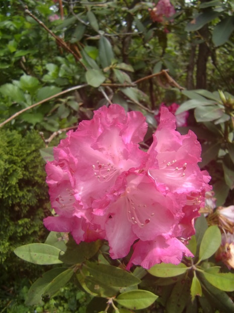 f0329849_22262060.jpg