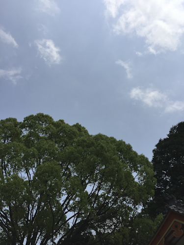 b0158551_19185287.jpg