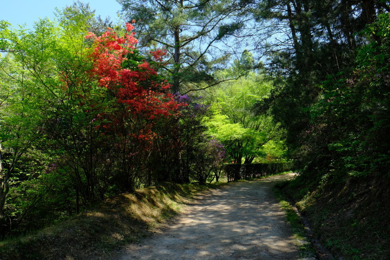 b0277257_21104468.jpg