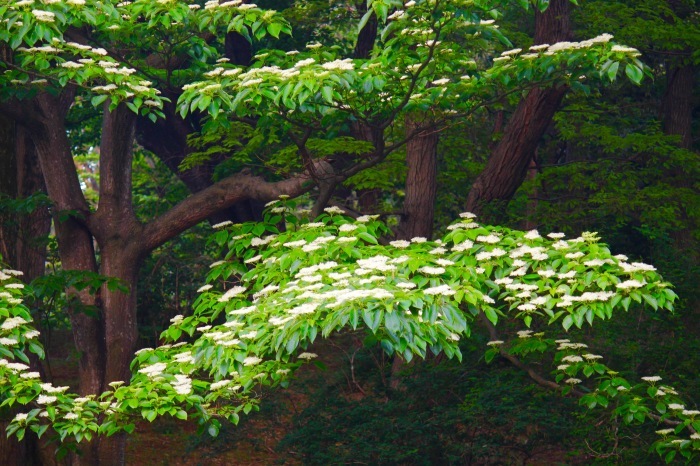 a0248459_15553929.jpg