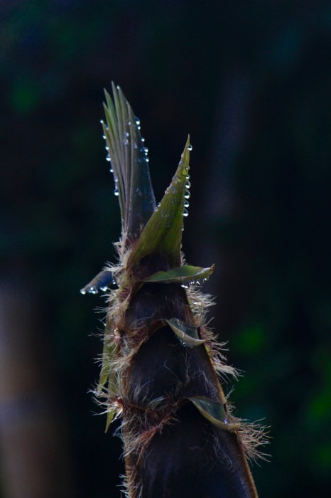 a0248459_15585205.jpg