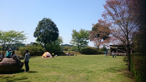 d0101562_15491717.jpg