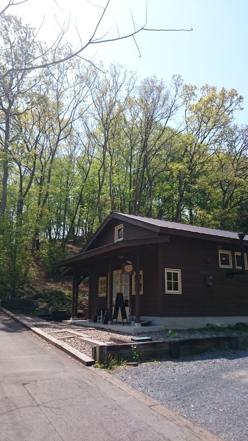 d0101562_15585790.jpg