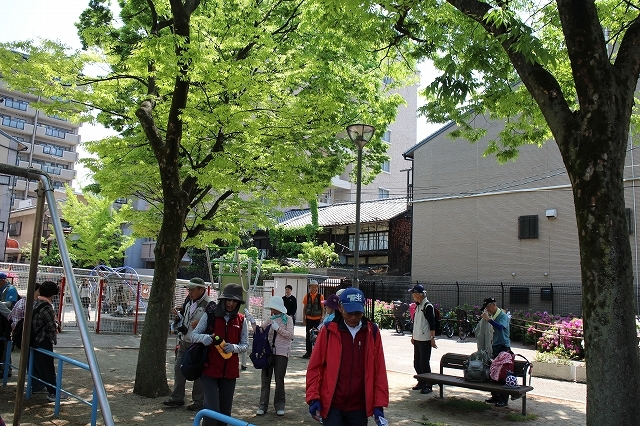 b0044663_13163989.jpg