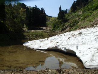 b0079965_04121290.jpg