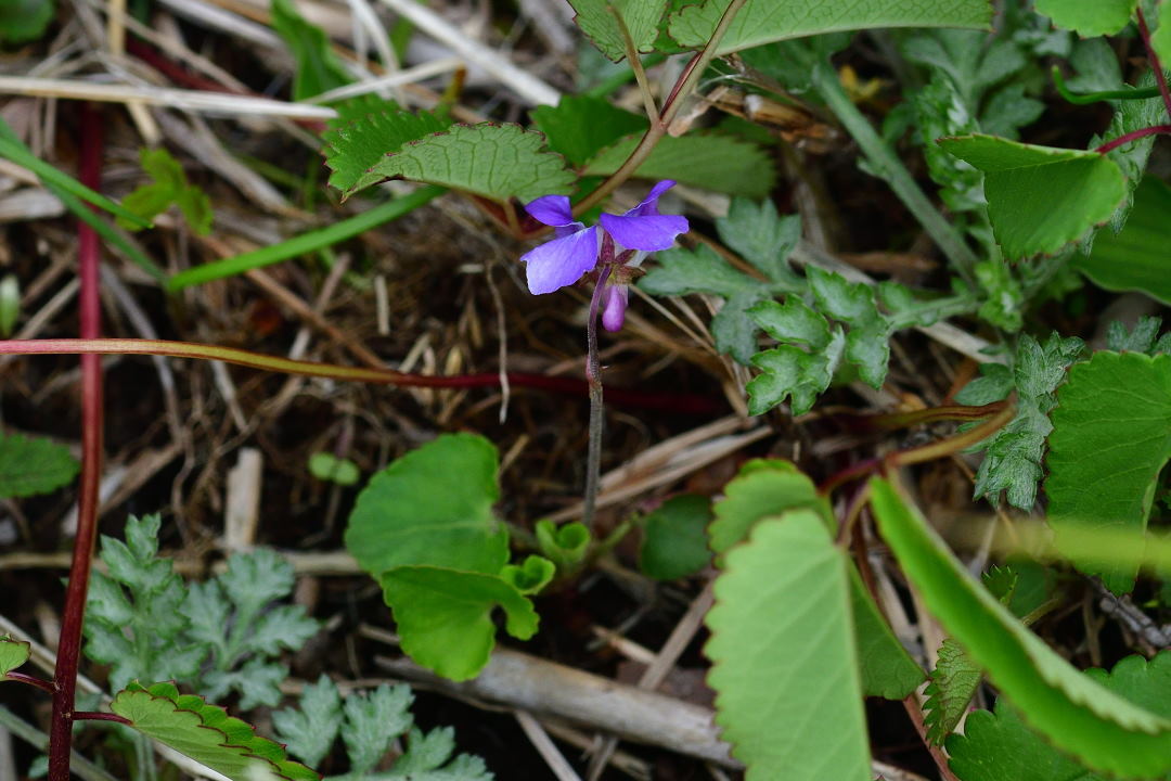 b0346568_17205150.jpg