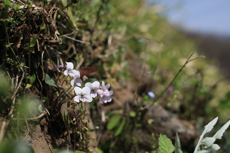 e0304170_19201500.jpg