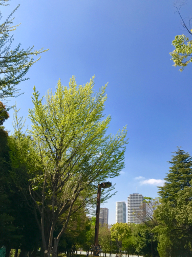 b0229277_23031580.jpg