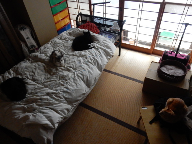 e0355177_09510060.jpg
